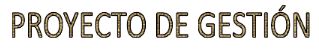 Proyecto de Gestión